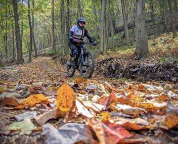 Picture of Beginner Downhill Mountain Bike Lesson