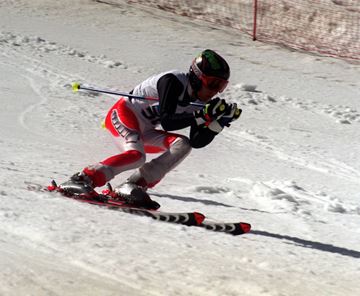 Picture of Alpine Ski - PARA U14