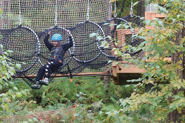 Picture of Summit Adventure Park - 2 Hour Junior