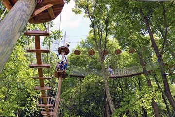 Picture of Summit Adventure Park - 4 Hour Experience