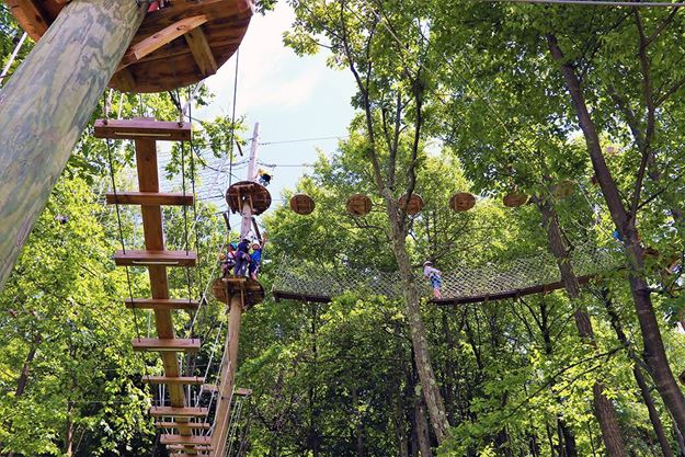 Picture of Summit Adventure Park- 4 Hour Experience